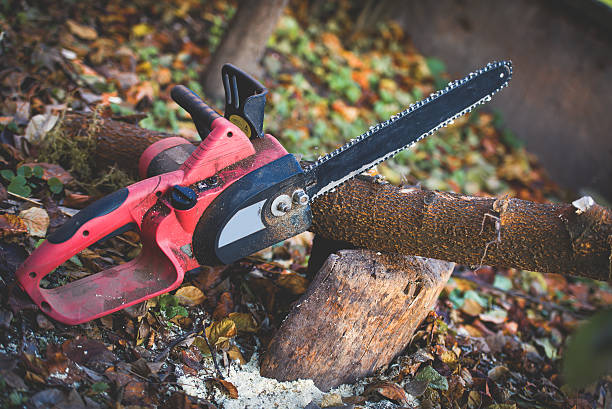 Best Firewood Processing and Delivery  in Fort Stewart, GA
